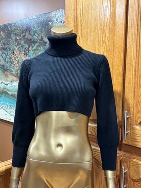 Wilfred Black Cropped Ribbed Turtleneck Sweater